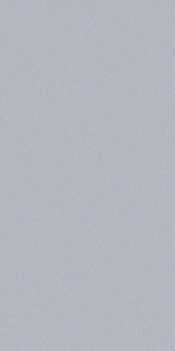 水磨石浅灰 MS18981Y产品图