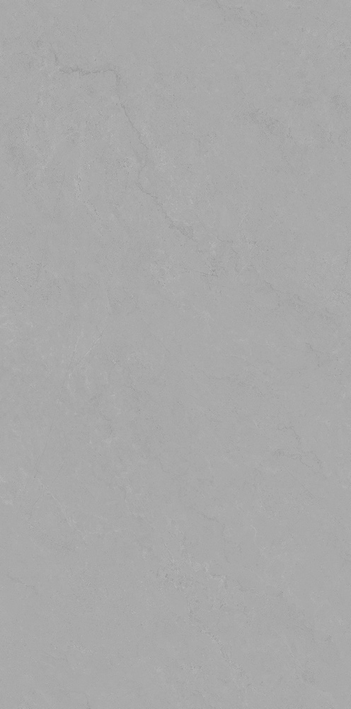 曼海灰 QDY8425G产品图