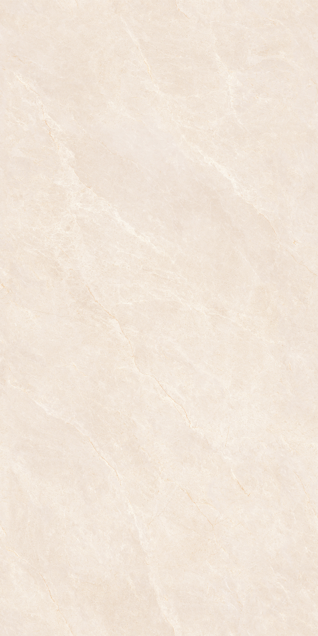 玛朵莉莎 MS175916XT产品图