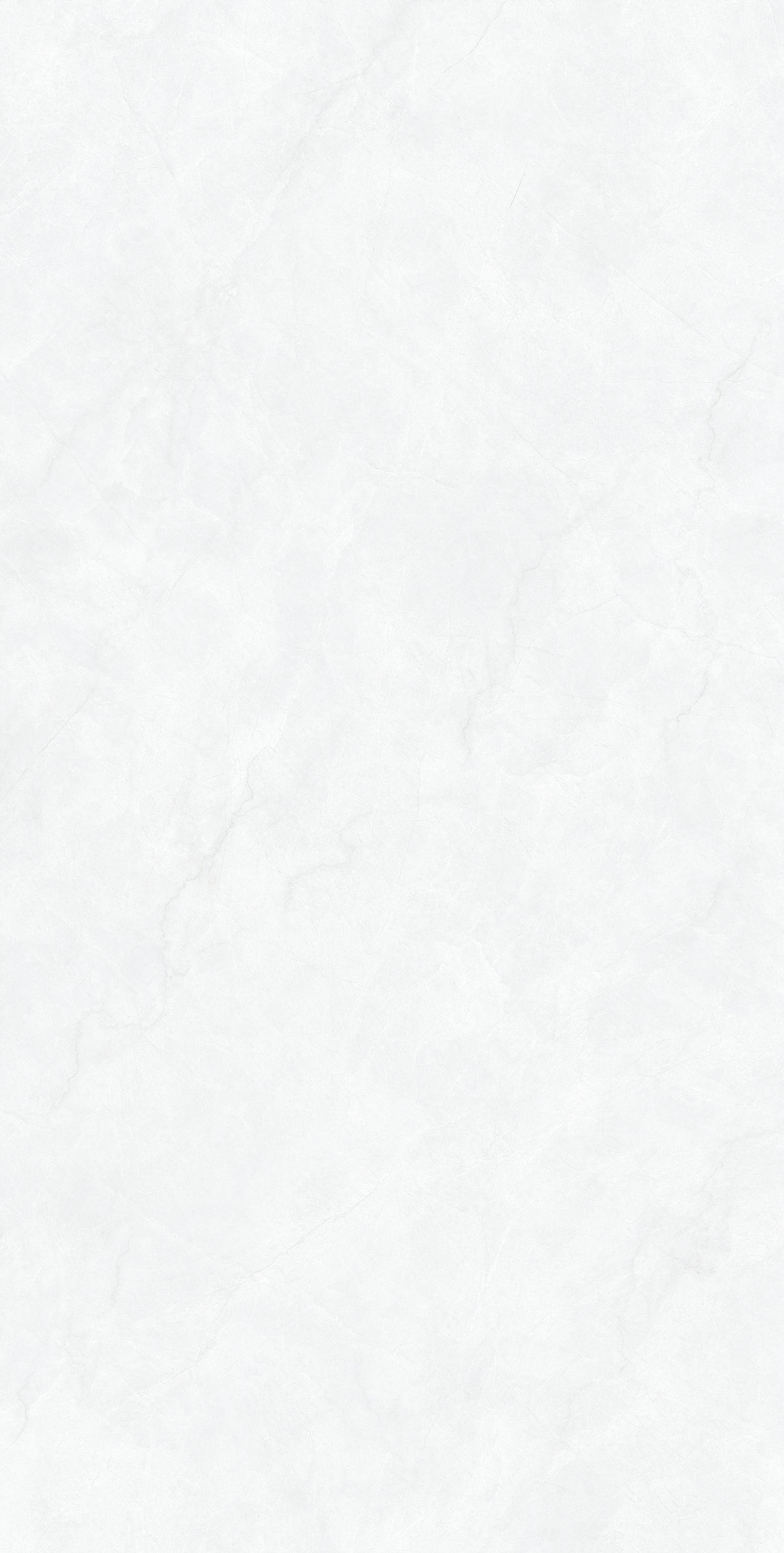 银霜白灰 MS1899121产品图