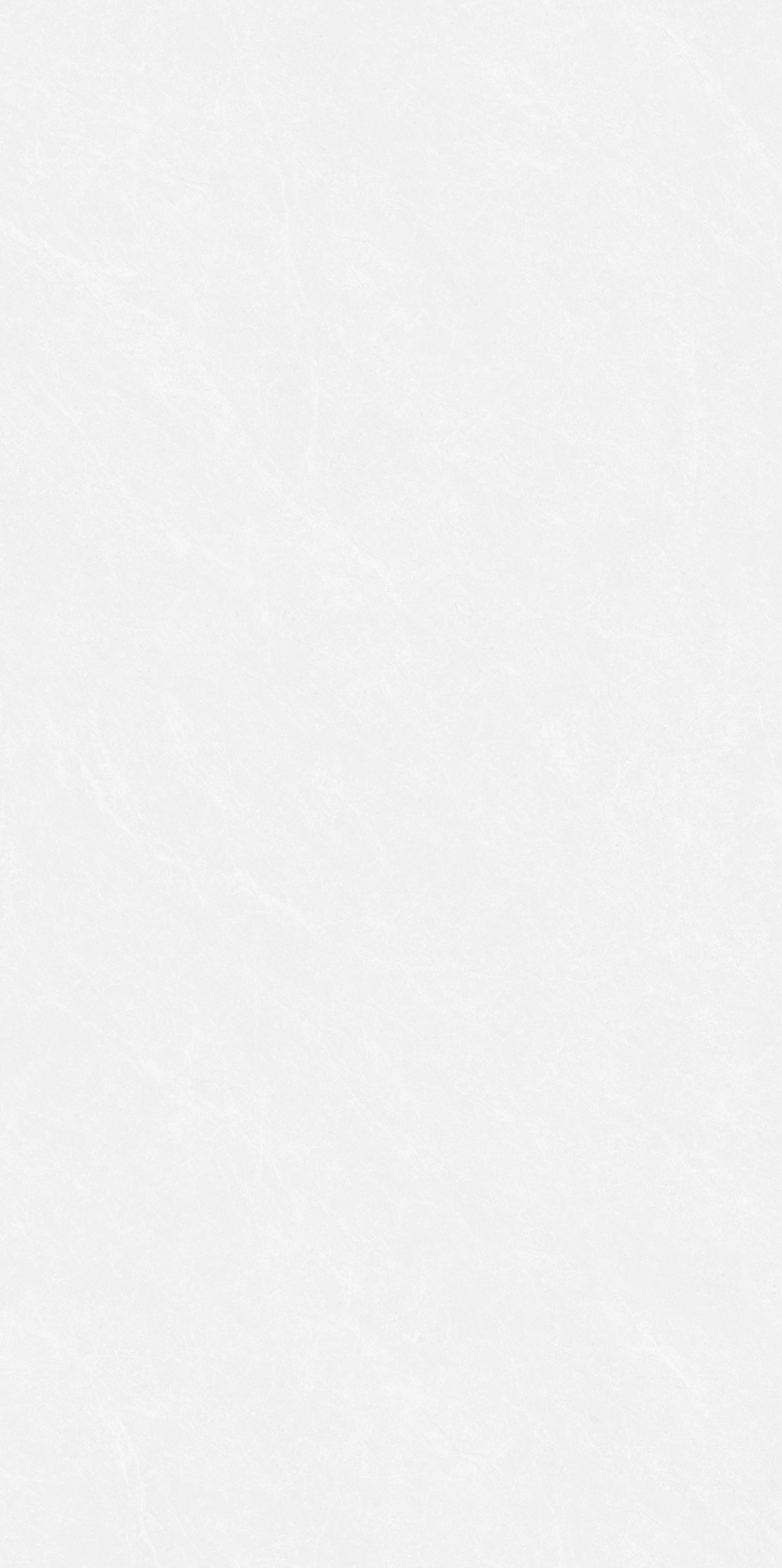 巴里白灰 QDY1781G产品图
