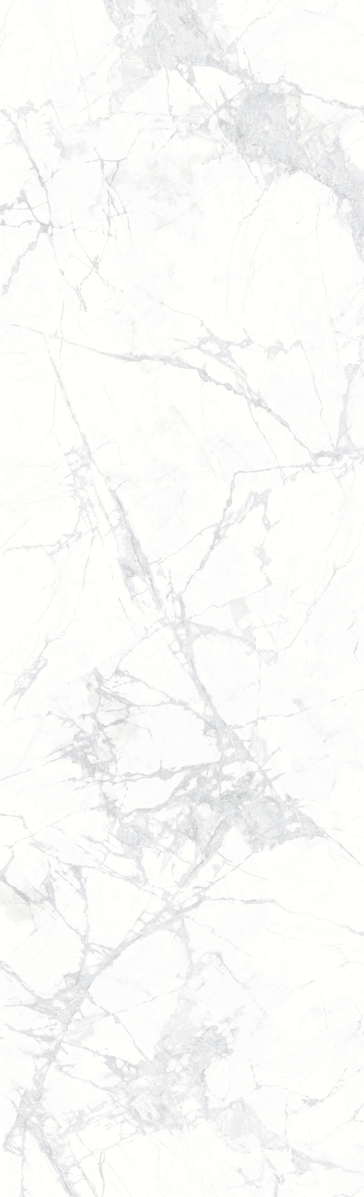 寒江雪 M826X50002产品图