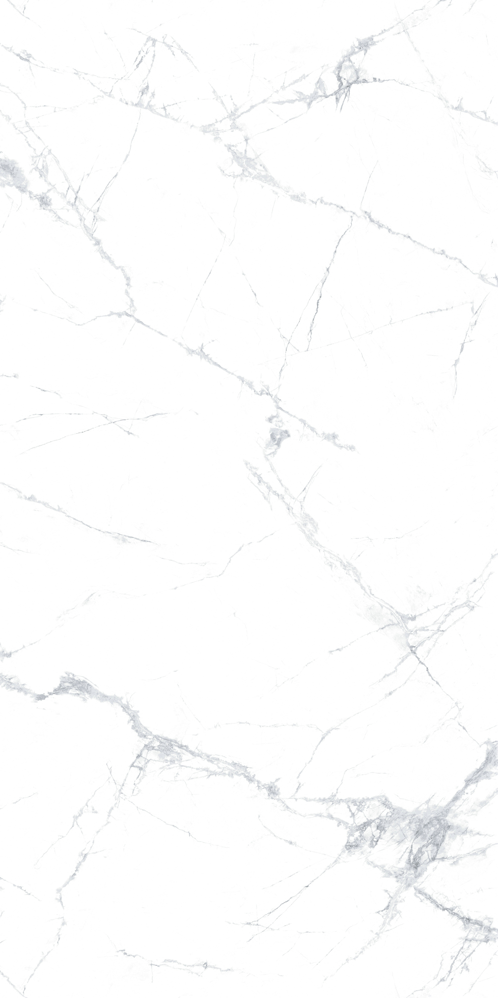 新寒江雪 M1224X50008产品图